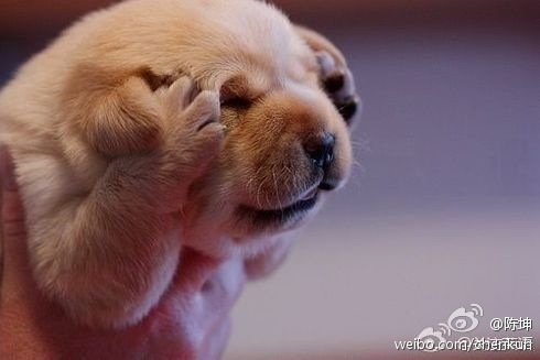 120229____________1.jpg
