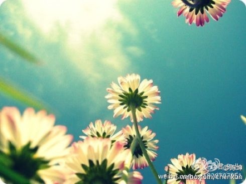 120320____________.jpg