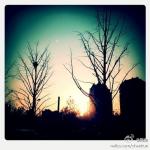 120404____________2.jpg