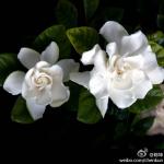 120427____________3.jpg