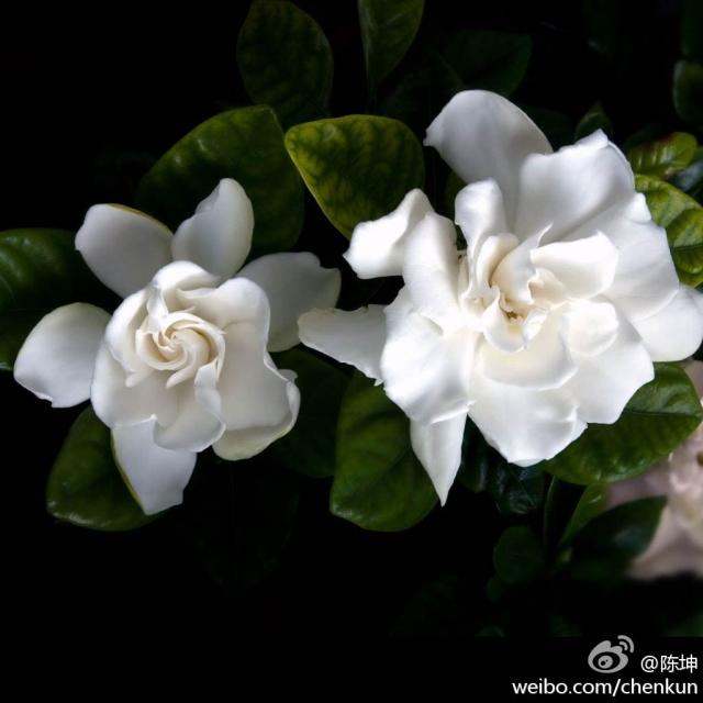 120427____________3.jpg