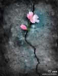 120504____________3.jpg