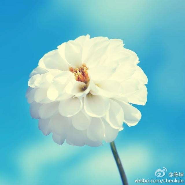 120528____________.jpg