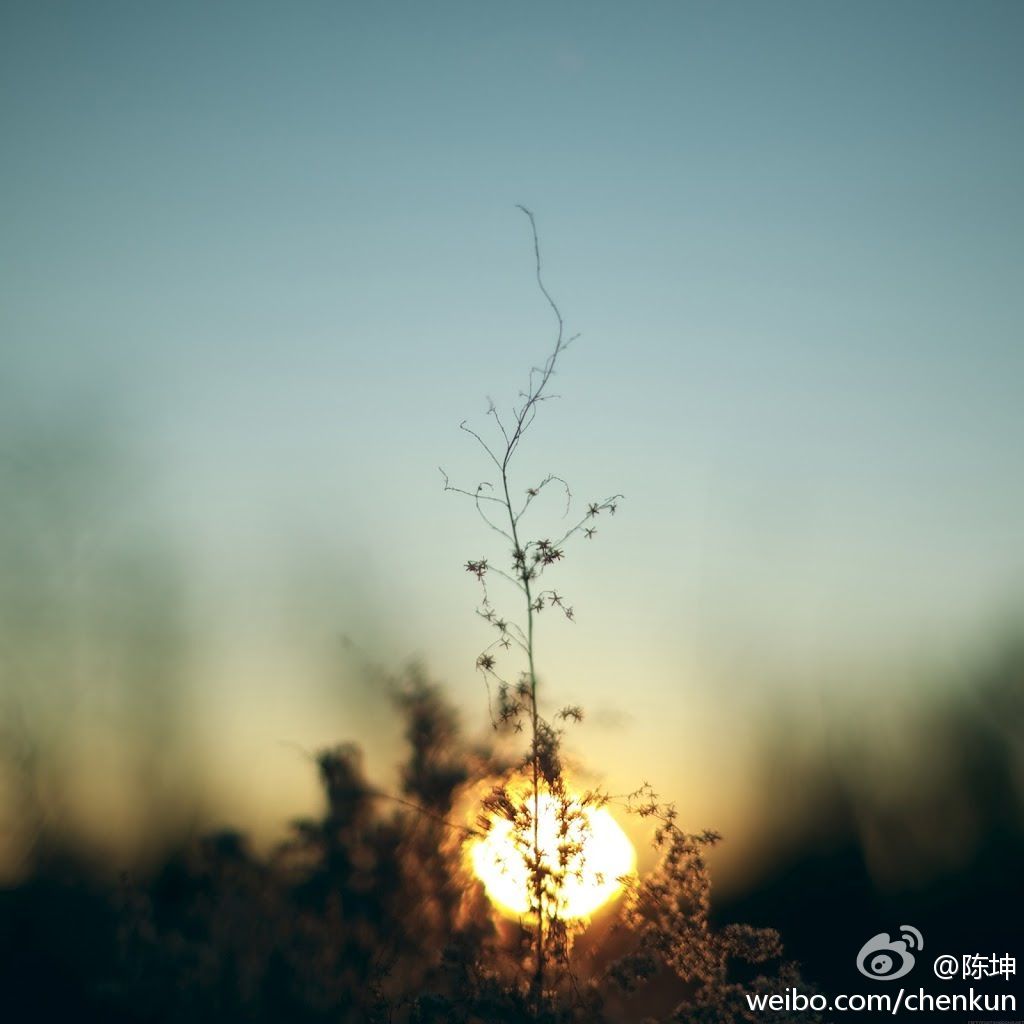120528____________1.jpg