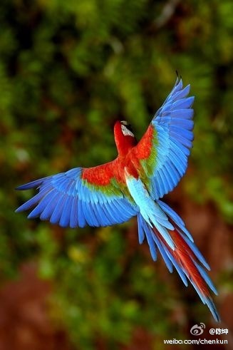 120622____________5.jpg