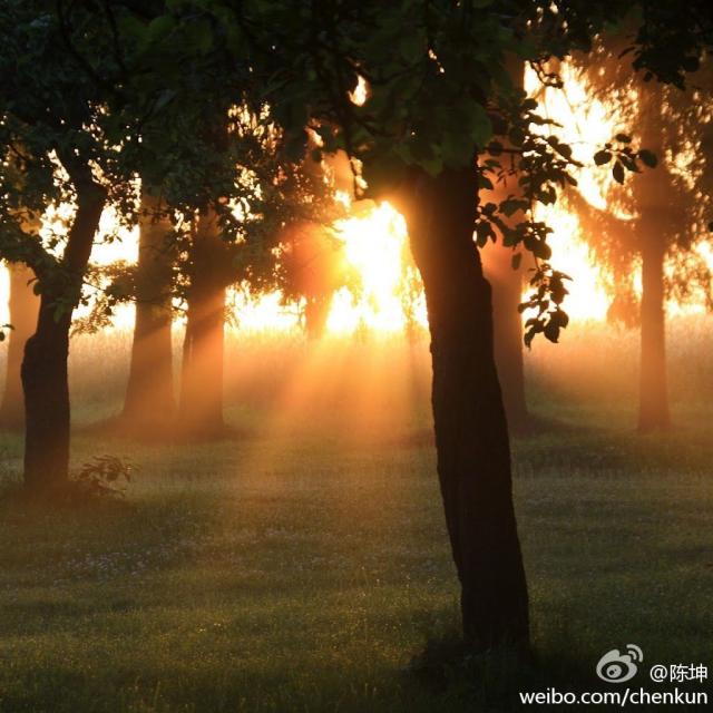 120812微博配图1