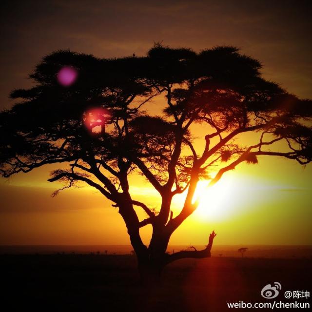 120914微博配图