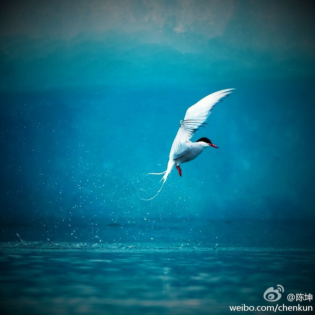 120916微博配图1