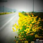 120918微薄配图