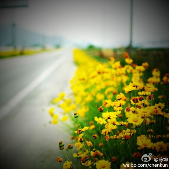 120918微薄配图