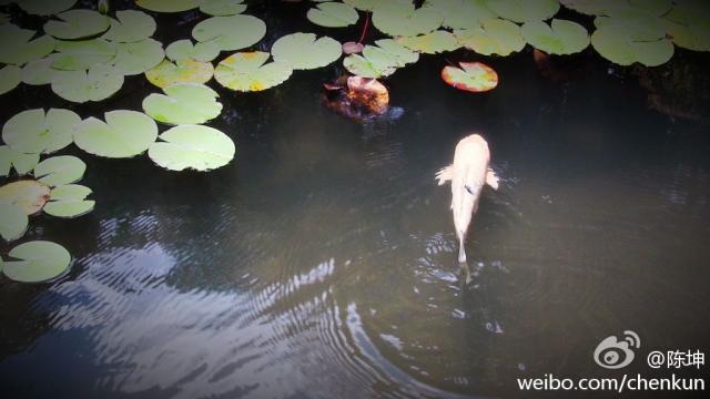 120918微薄配图2