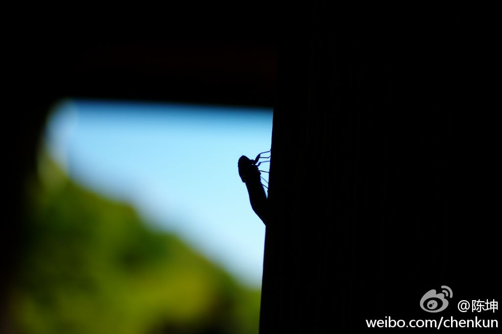 120919微薄配图