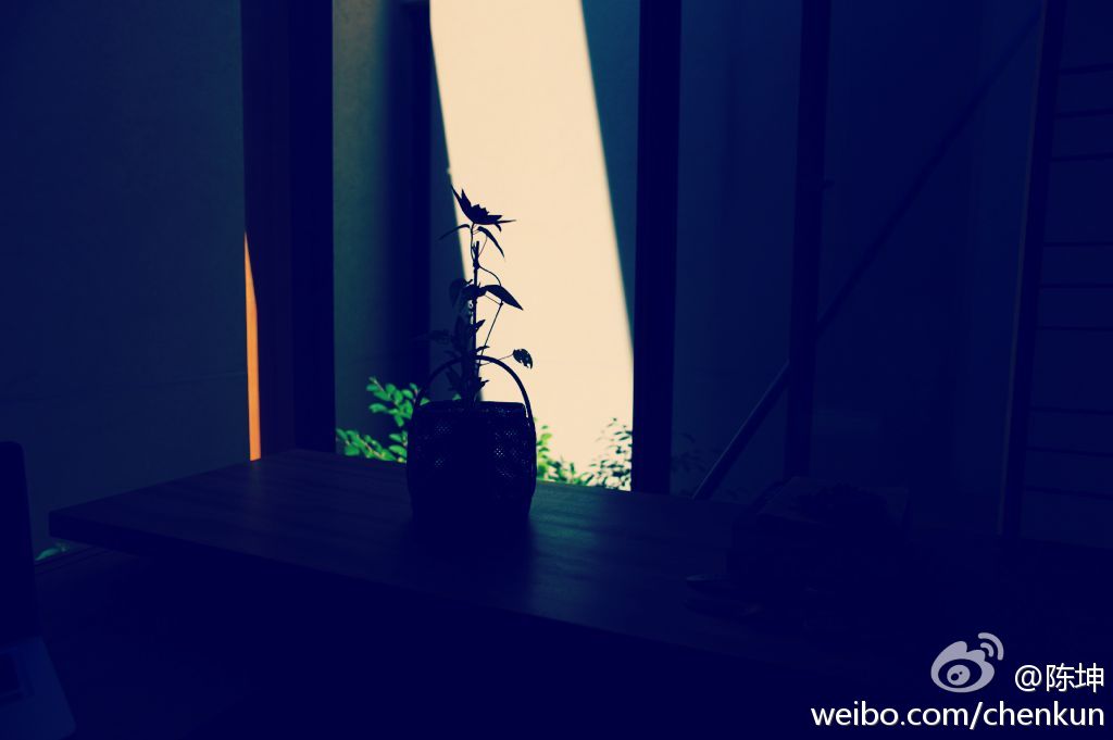 121128微薄配图