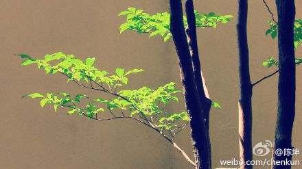 121202微薄配图删