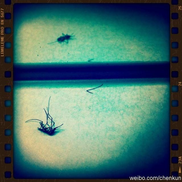 110622围脖配图