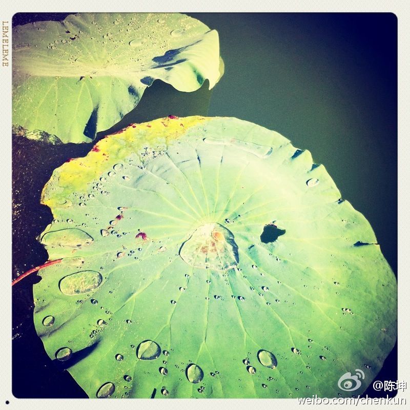 110723围脖配图1
