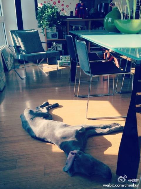 130208微博配图