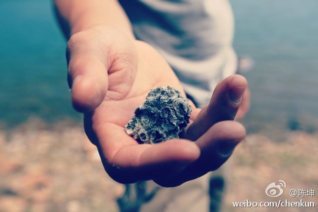 130213微博配图