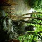 100526围脖头像
