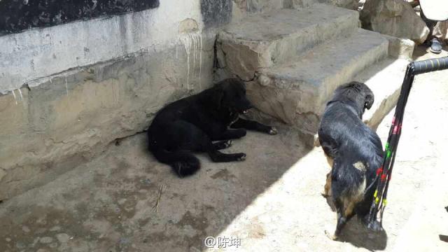 130812微博配图2
