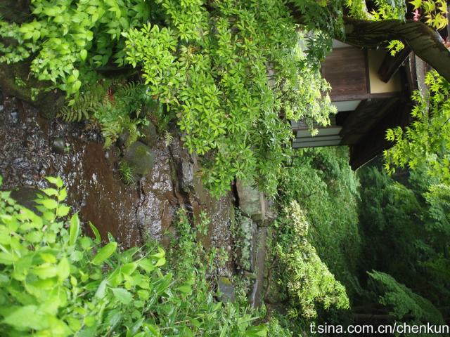 2010.5.26围脖配图